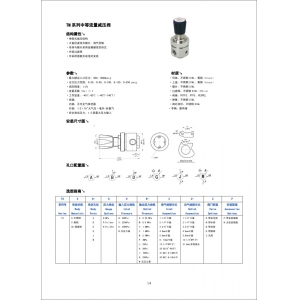 TM系列中等流量减压阀
