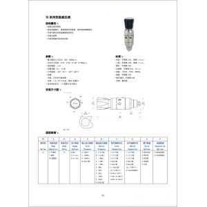 TD系列双极减压阀